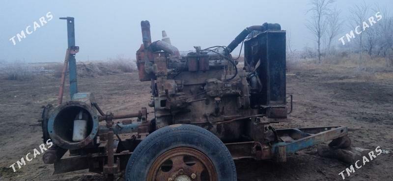 nasos - Ruhubelent etraby - img 1