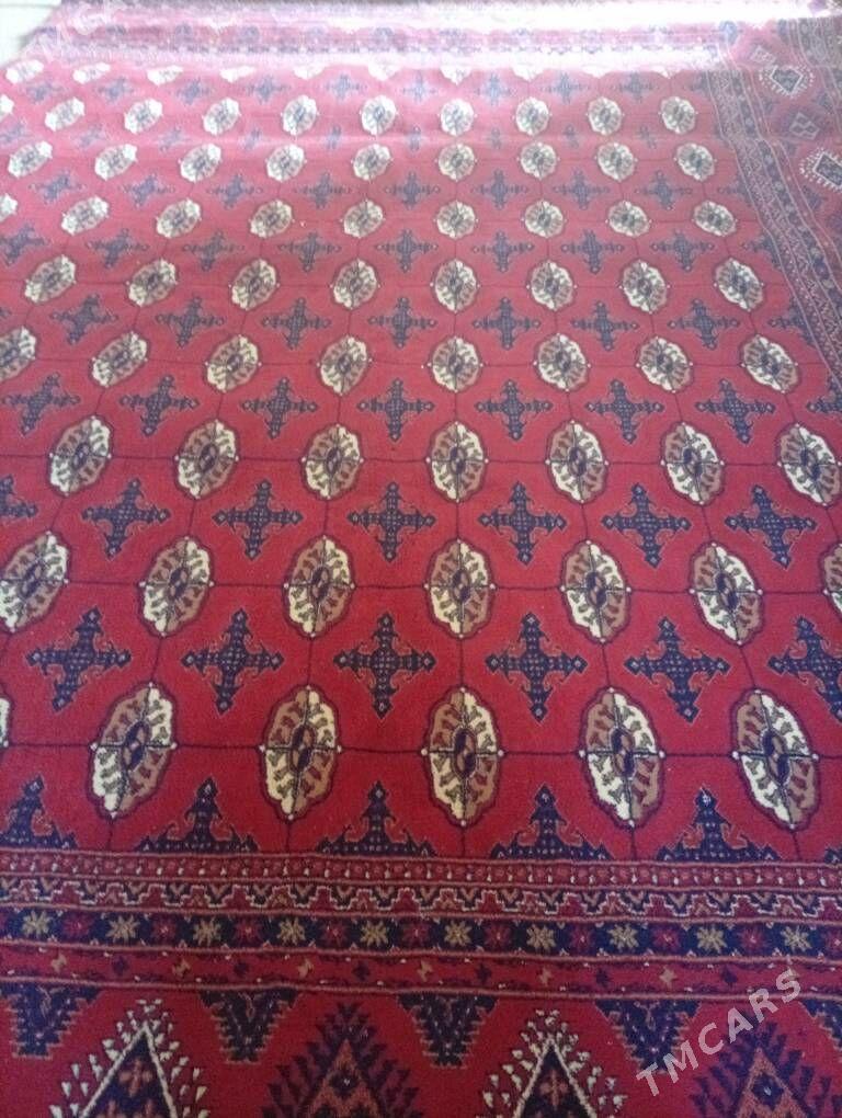 Haly - Гарадамак - img 1