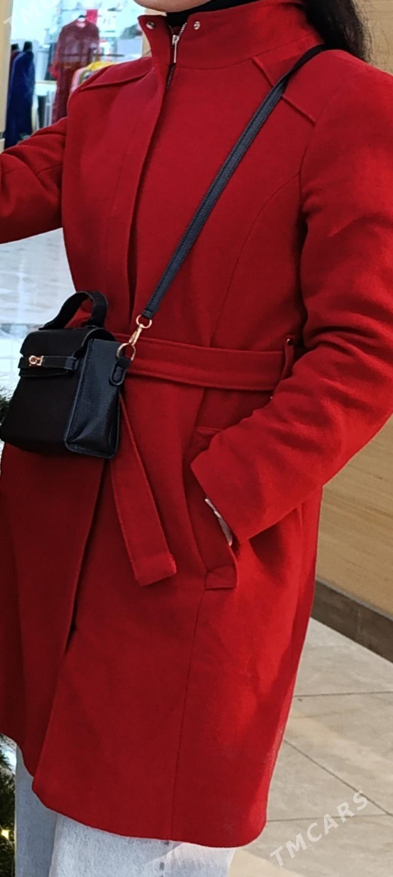 Palto - Туркменабат - img 1