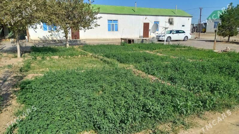 Körcaý oba jaý - Ак-Бугдайский этрап - img 1