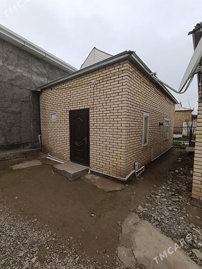 Satlyk jay - Mary - img 1