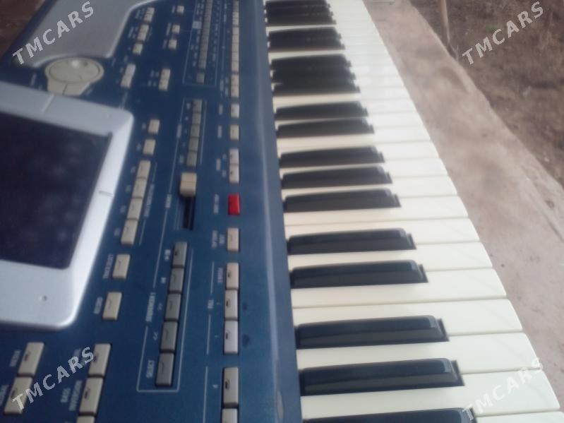KORG  Pa-800 - Туркменабат - img 1