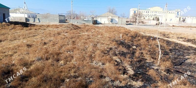 Bos mellek - Гёкдепе - img 1