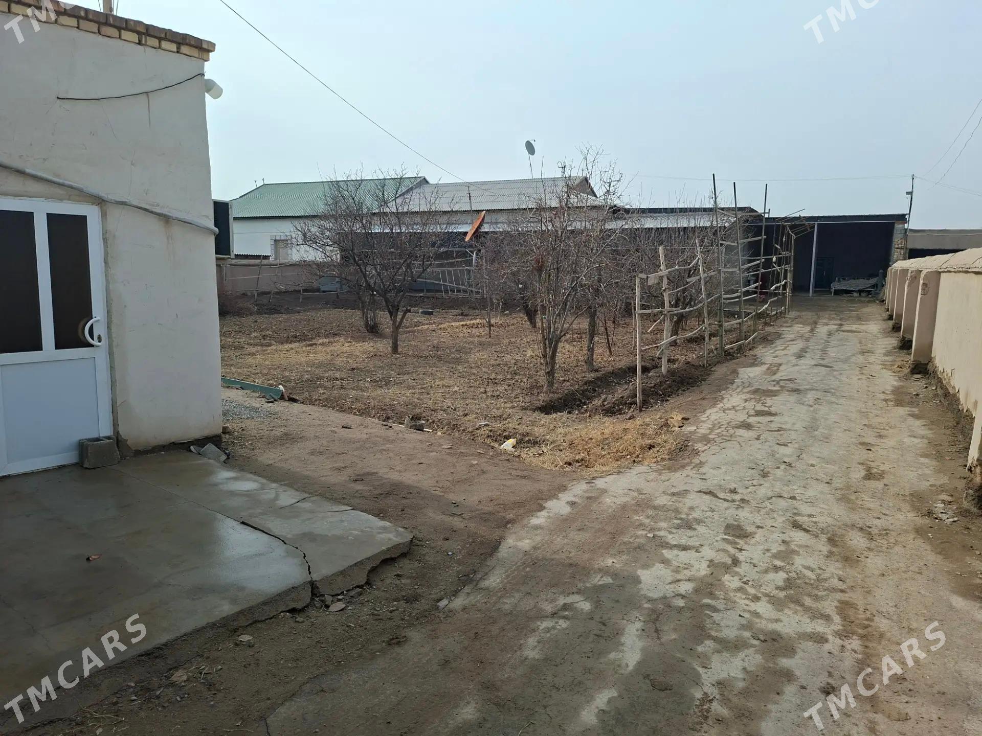 jay - Köneürgenç - img 1