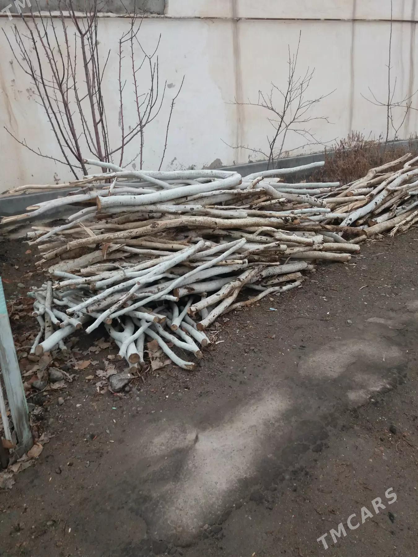 ДРОВА ДЛЯ МАНГАЛА ЛЕСОМАТЕРИАЛ - Daşoguz - img 1