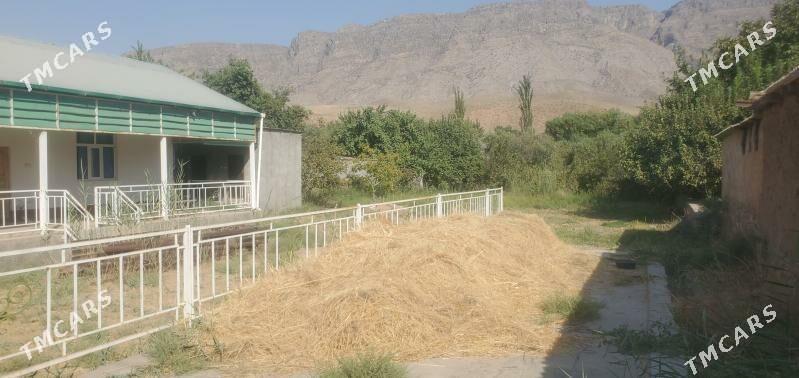 Lebap welayat Koyten oba - Койтендаг - img 1