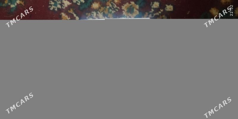 prastoy tel - Gurbansoltan Eje - img 1