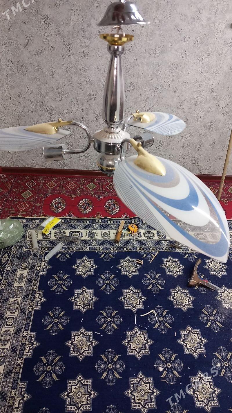 lusdyra - Мары - img 1