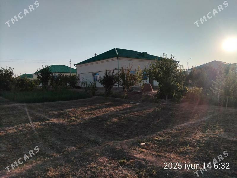 SATLYK ALTYN SÂHRA - Огуз хан - img 1