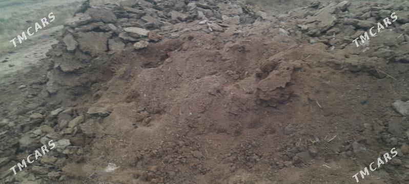 Sygyr ders tezek - Мургап - img 1