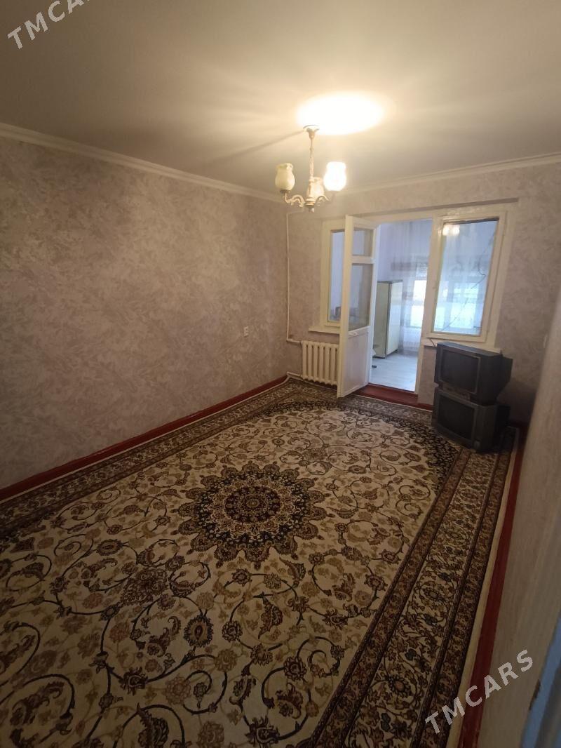 Satlyk jay - Mary - img 1