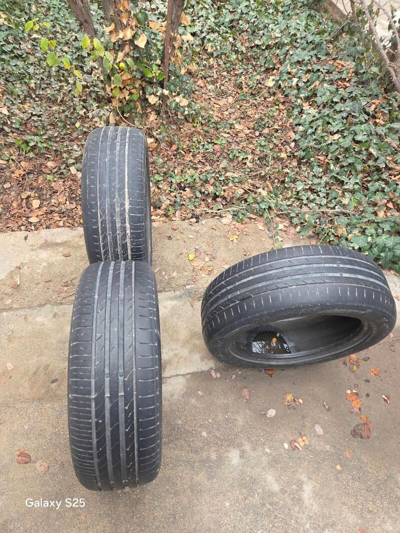 Teker 50 TMT - Aşgabat - img 1