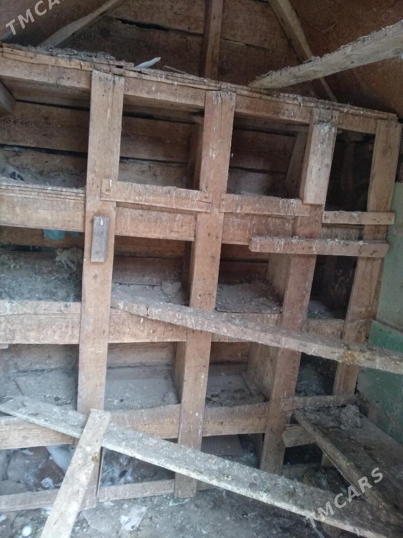 kepter ketek - Türkmenabat - img 1