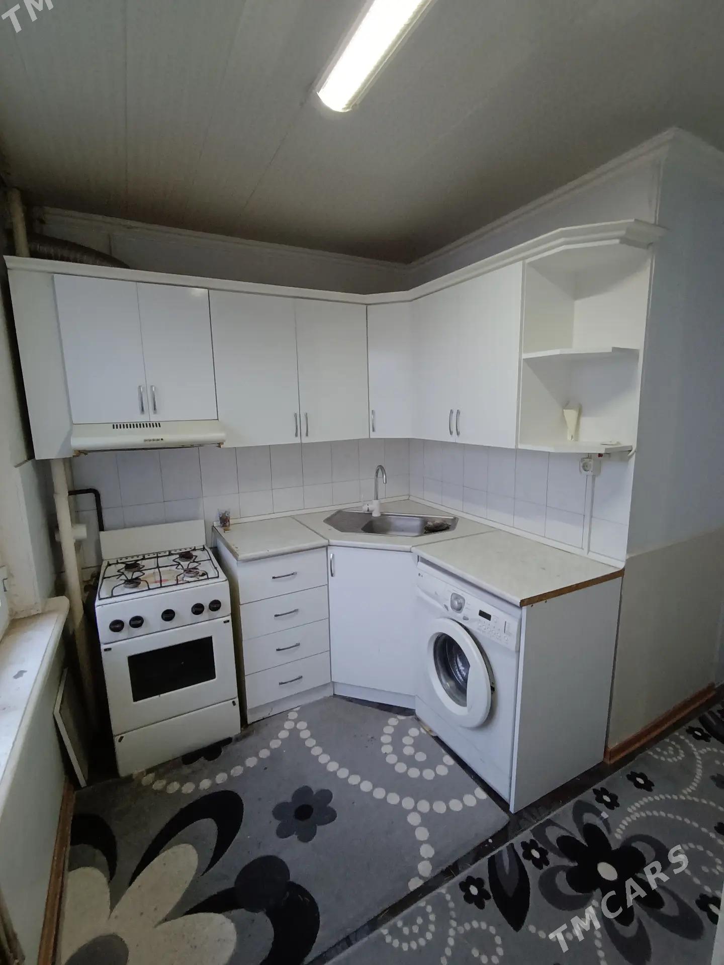 Satlyk jay - Mary - img 1