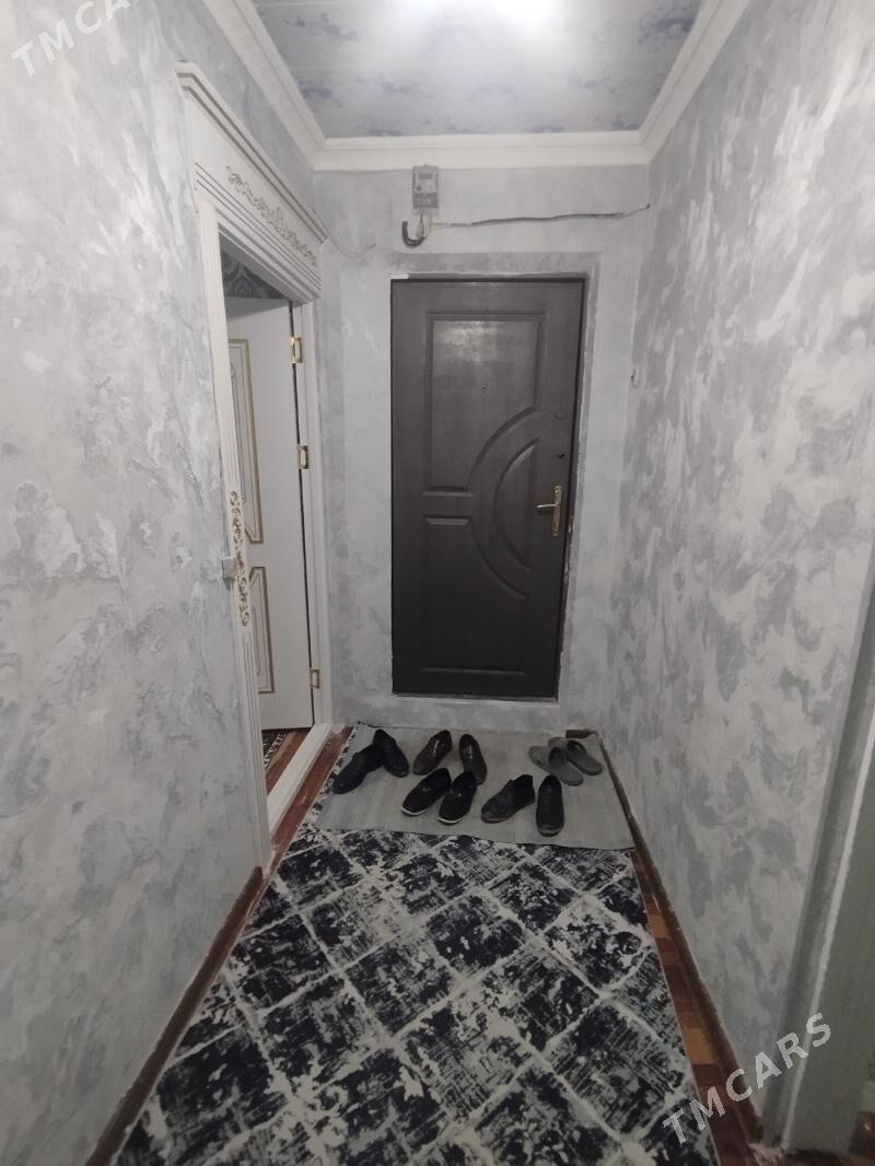 Satlyk jay - Mary - img 1