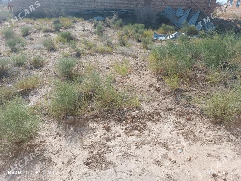 mellek - Farap - img 1