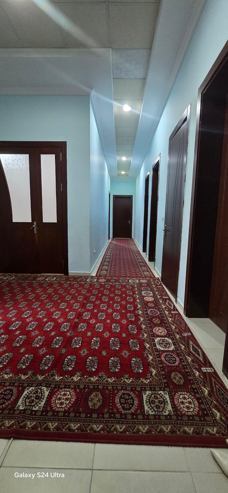 ELITKA..ЭЛИТКА MOSKOWSKI 3 KOM - Moskowskiý köç. (10 ýyl abadançylyk şaýoly) - img 1