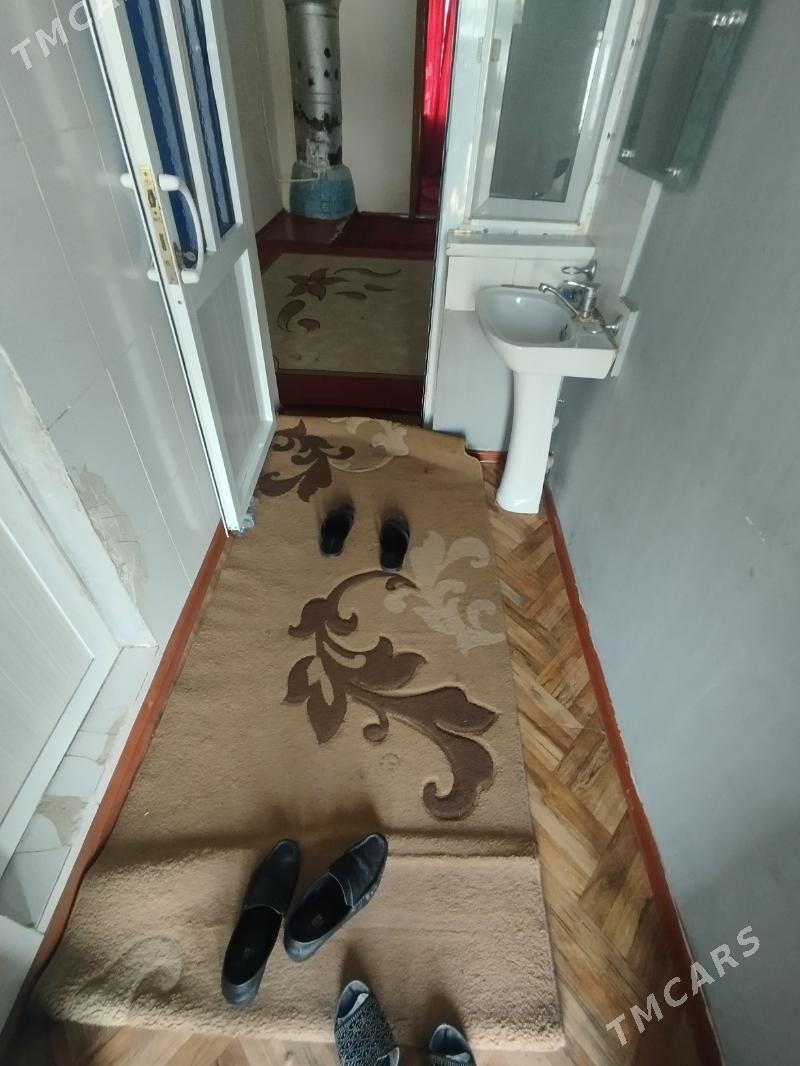 Satlyk jay - Mary - img 1