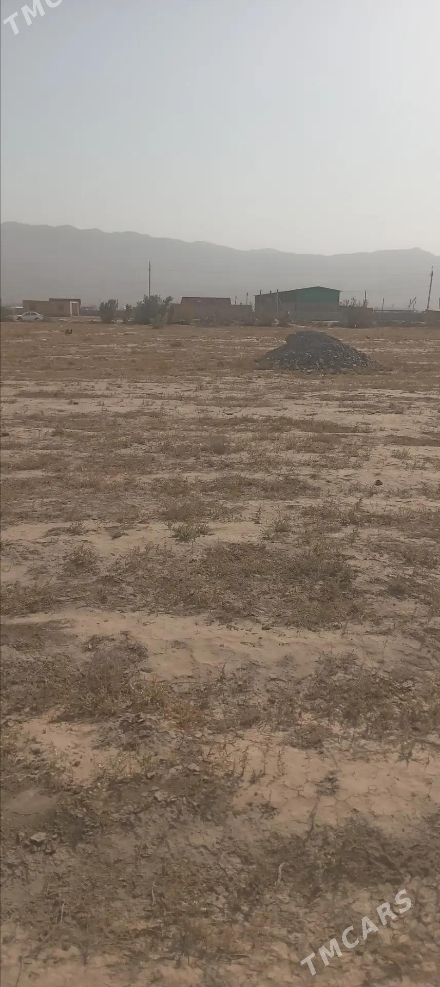 jay - Берекет - img 1