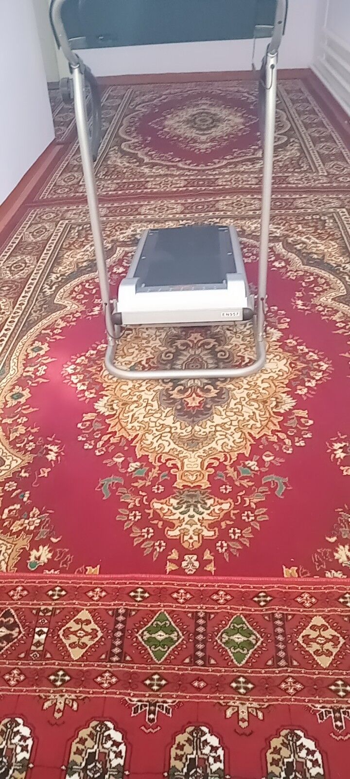 Begawoÿa daroška - Гороглы (Тагта) - img 1