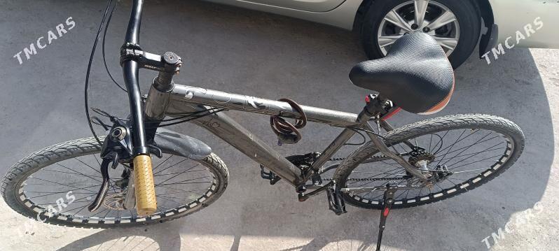 tigir29 lyk - Änew - img 1