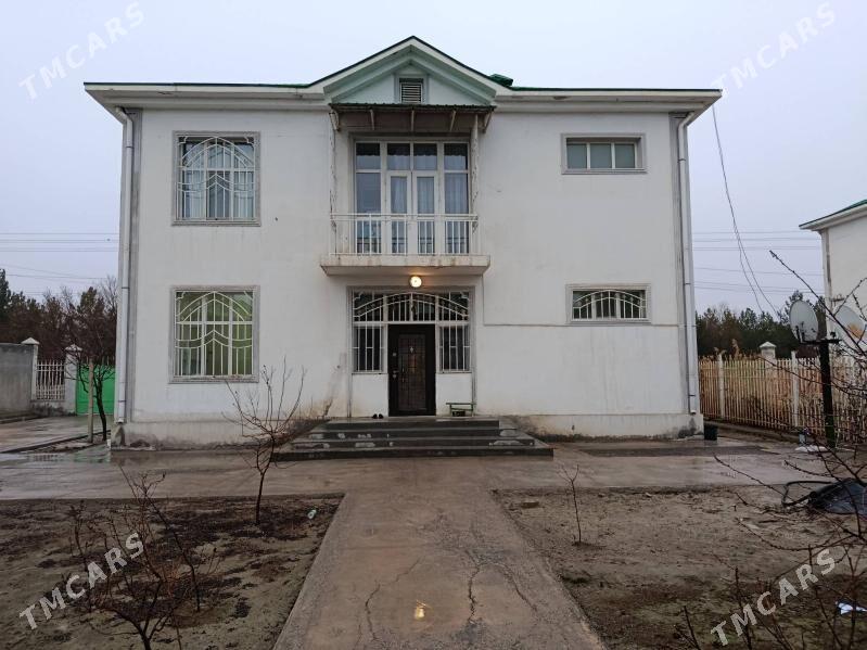 GOKDEPEDE KATTEZZ - Gökdepe - img 1