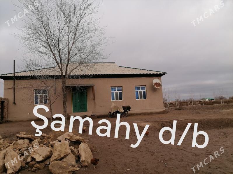 Şamahy d/b - Türkmenbaşy etr. - img 1