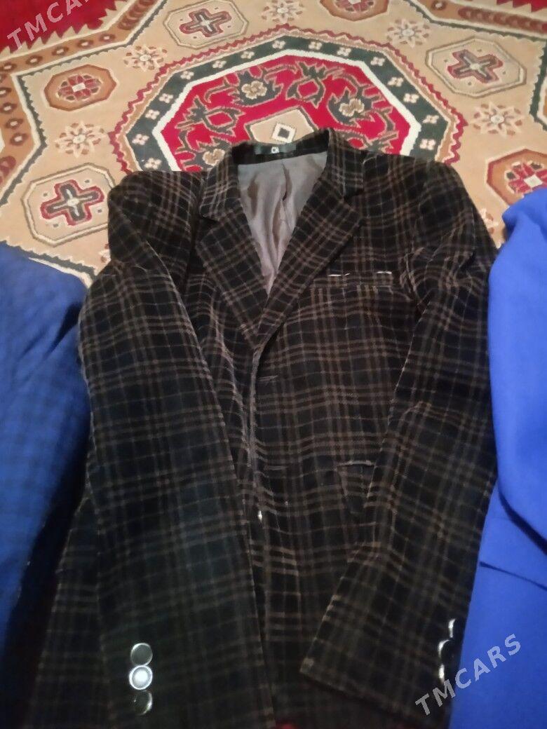 Kastyumlar - Murgap - img 1