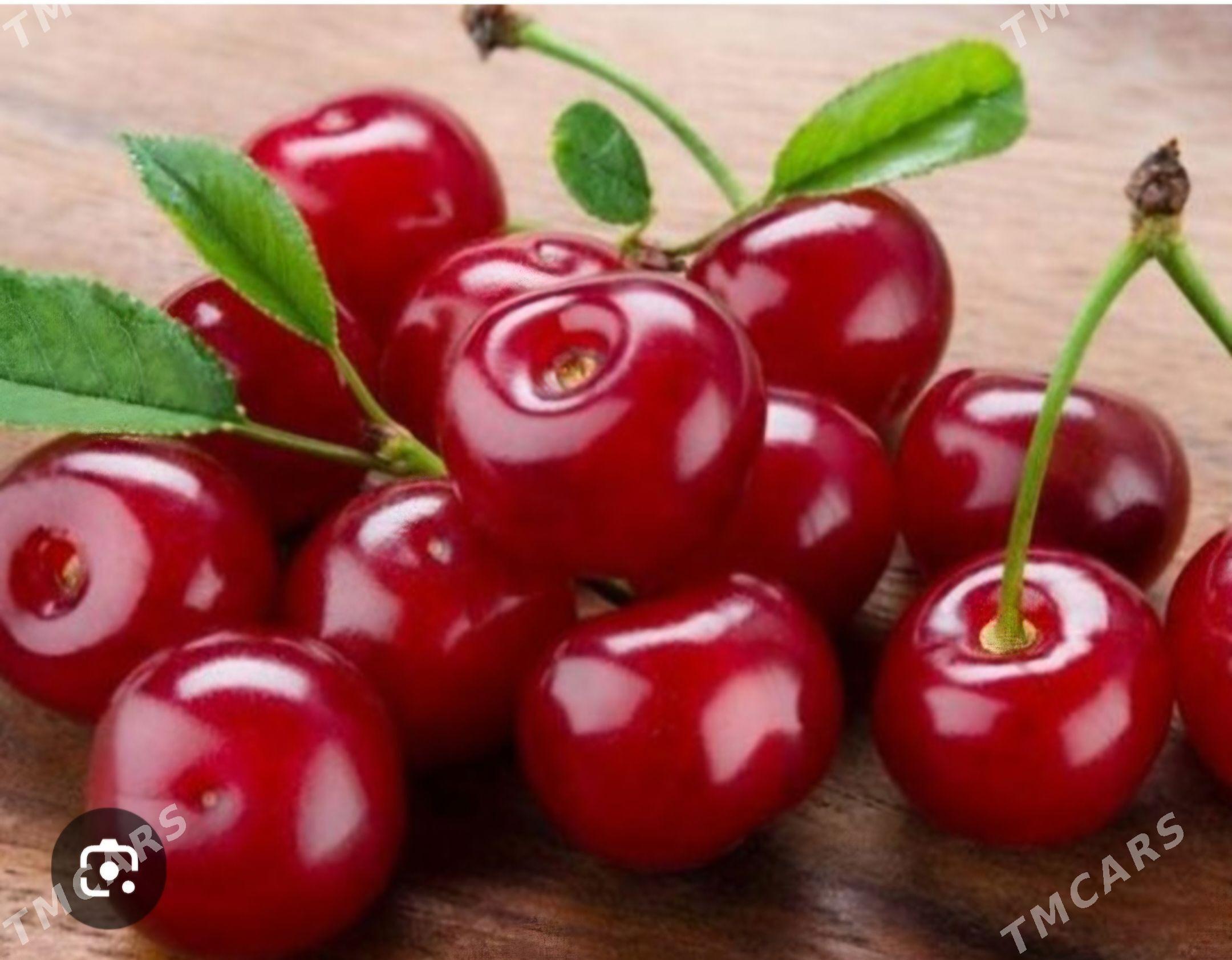 WISNIYA KUTAHYA TURK NAHAL - Анев - img 1