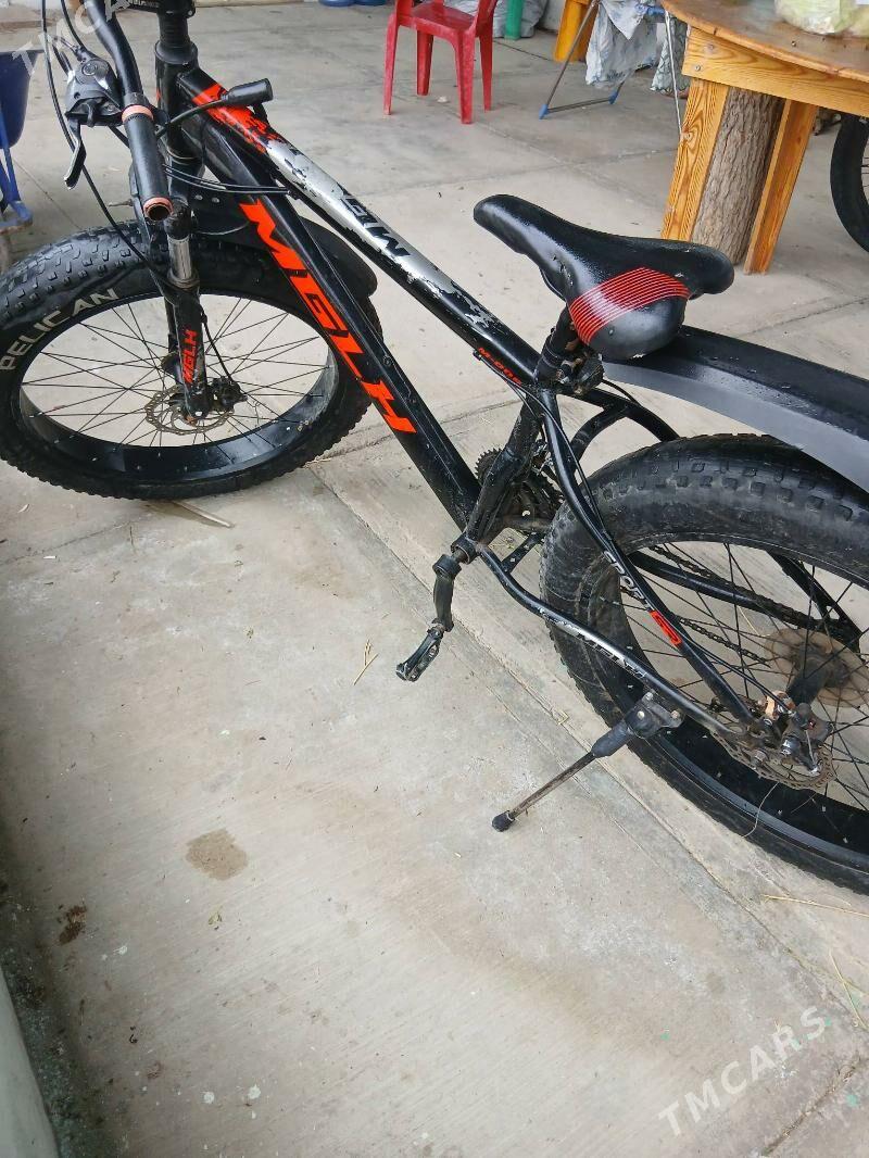 tigir - Тязе заман - img 1