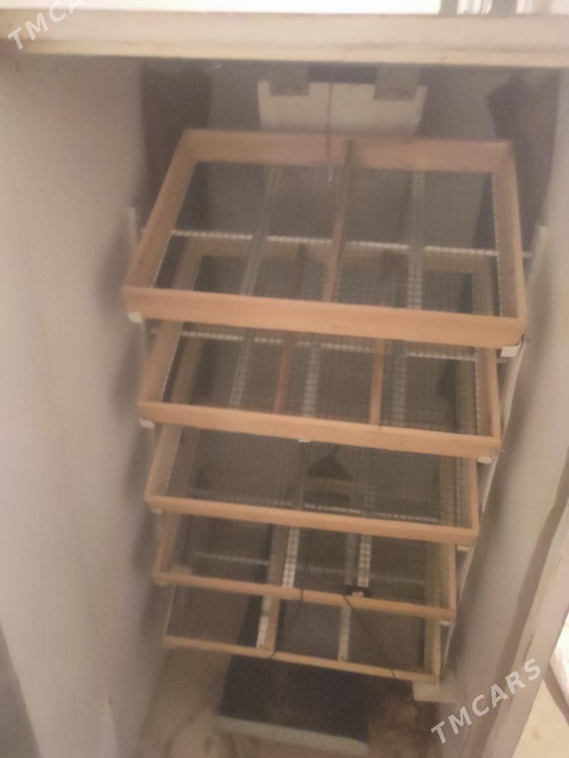 inkubator - Дашогуз - img 1