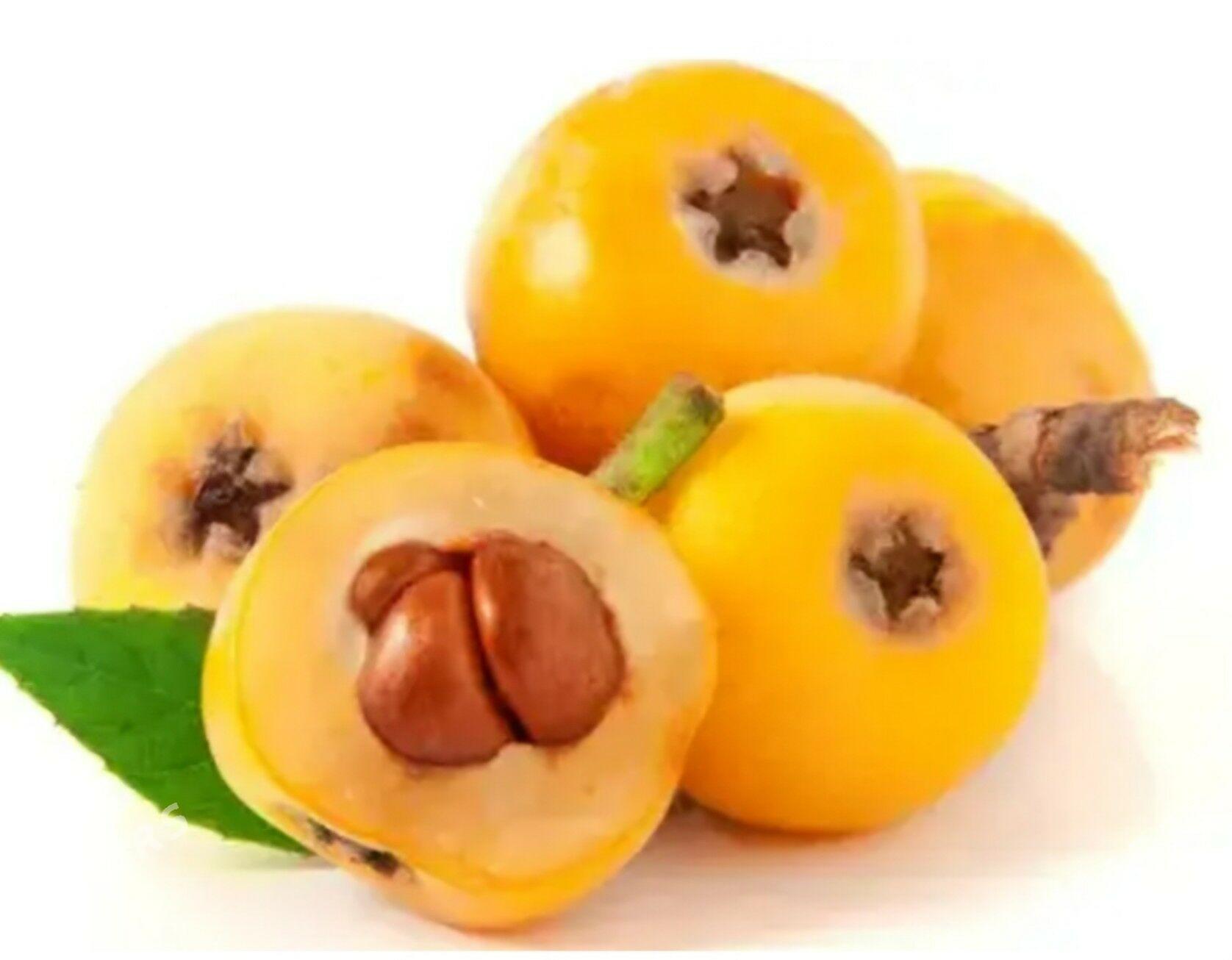 MUSMULA TURK NAHAL - Анев - img 1