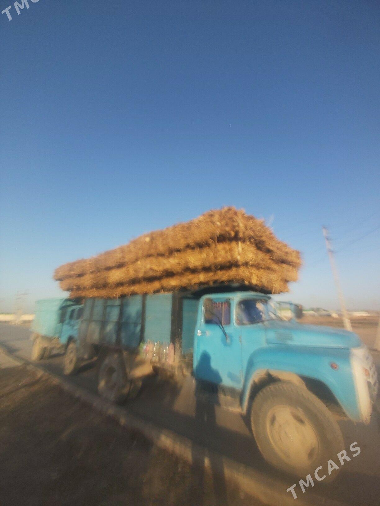 sudanka we mekge paljy mal oty - Ашхабад - img 1