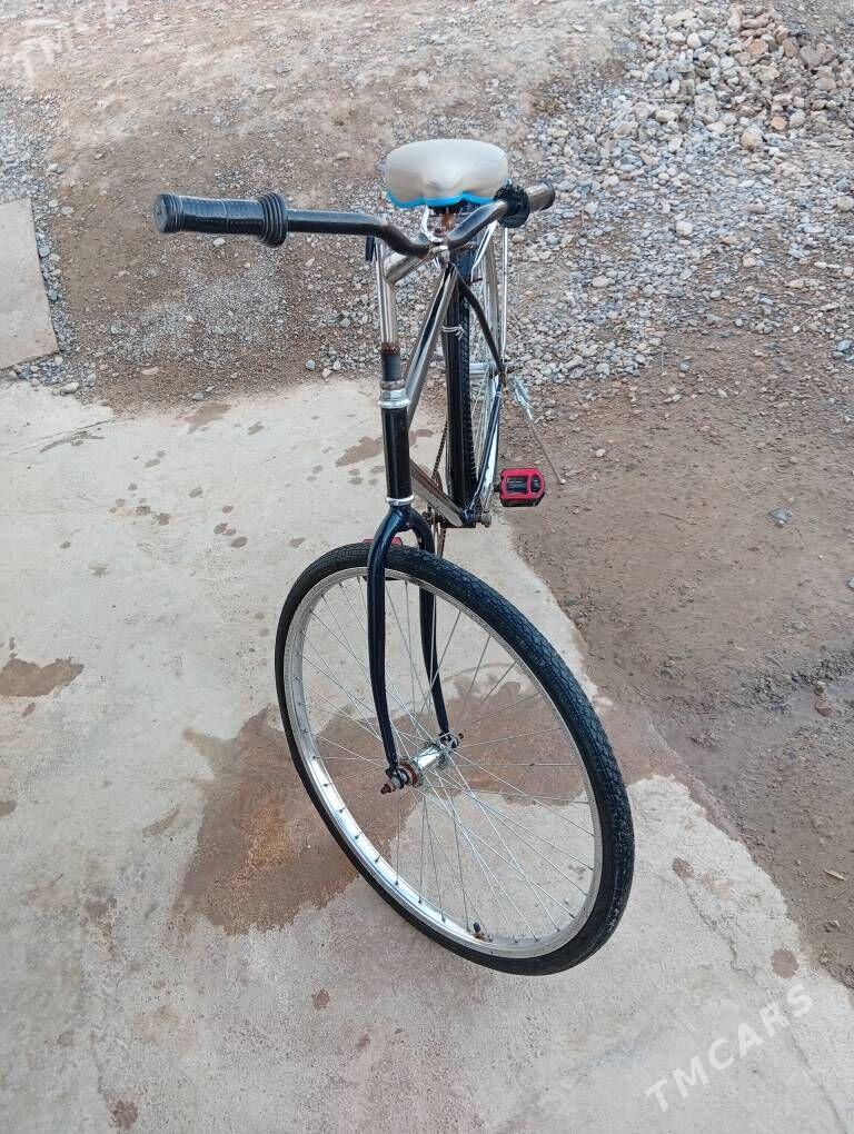 Welsepit - Теджен - img 1