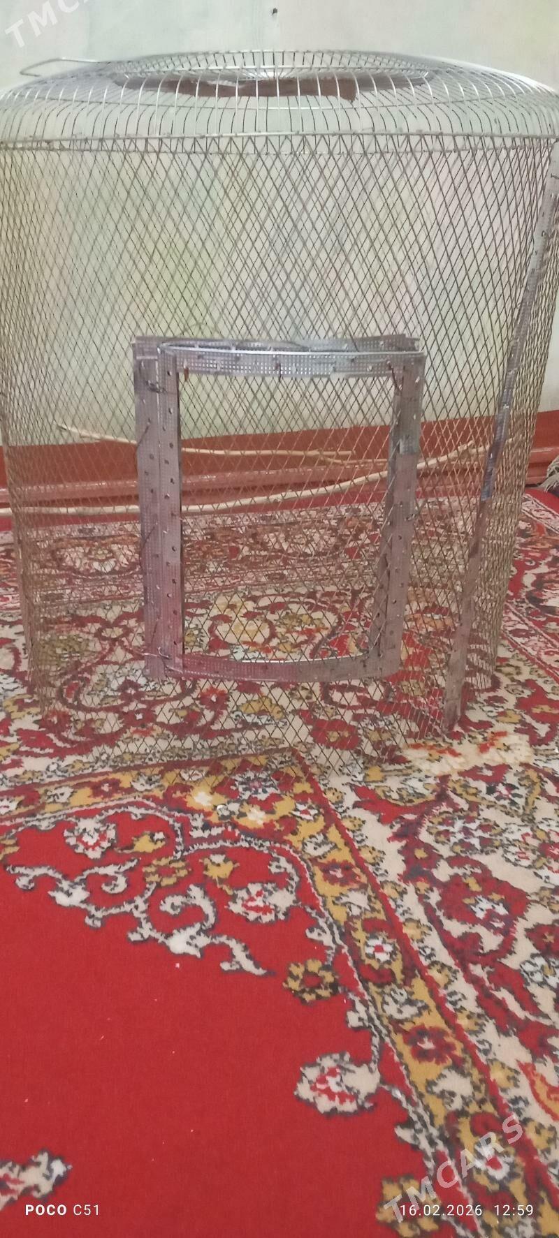 домашние животные - Мары - img 1