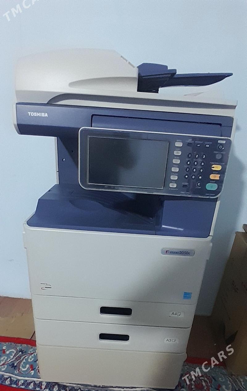 kopka - Чоганлы - img 1