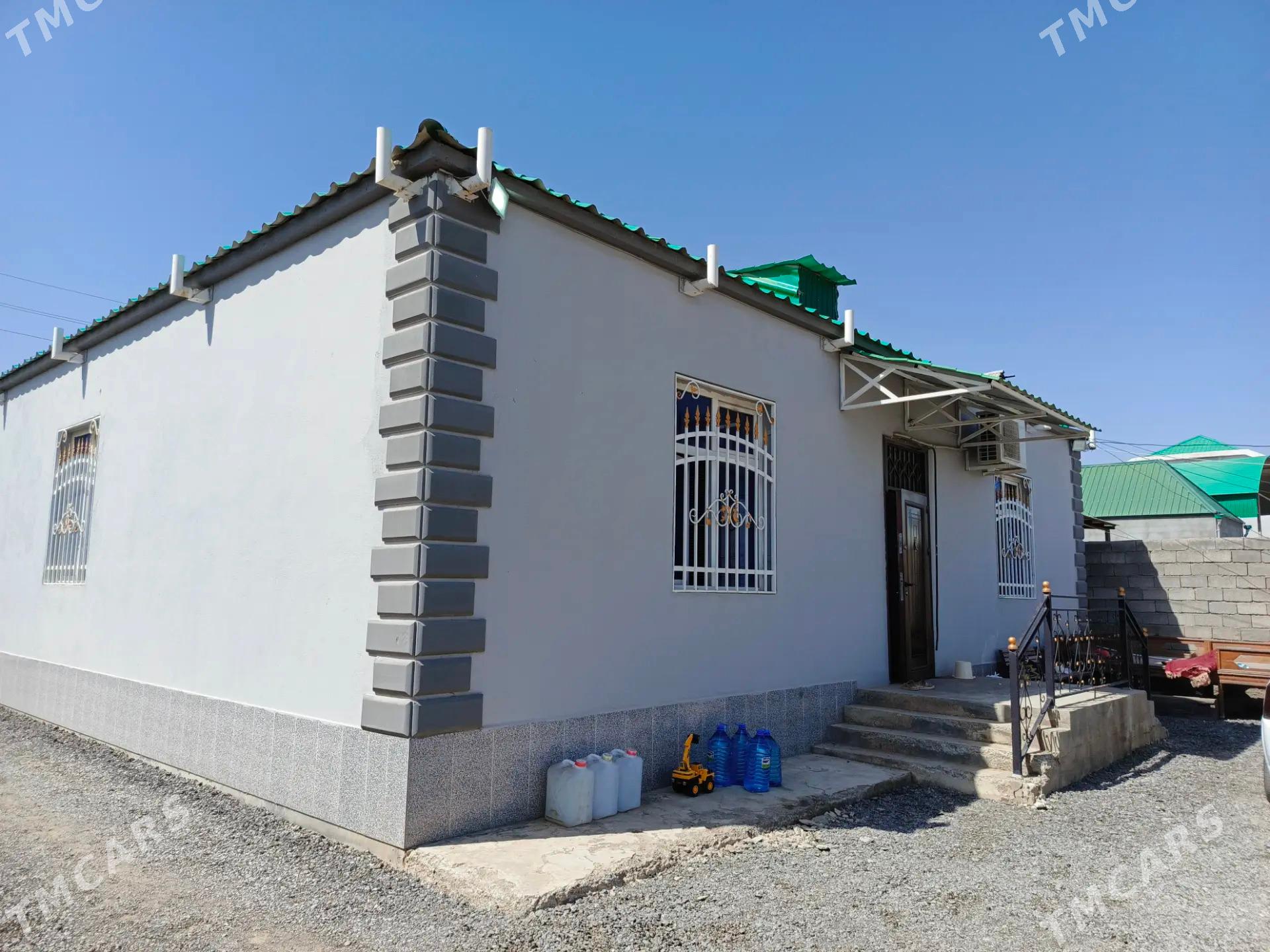 Arenda Anew Plan jay 4K - Änew - img 1