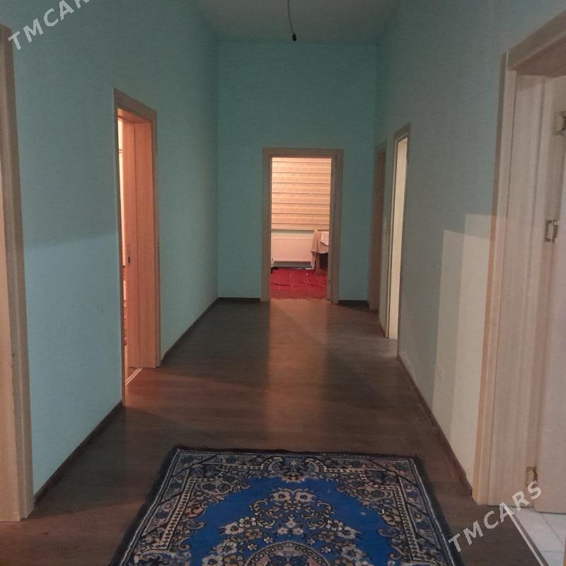 Kwartyra.magtymgulida - Анев - img 1