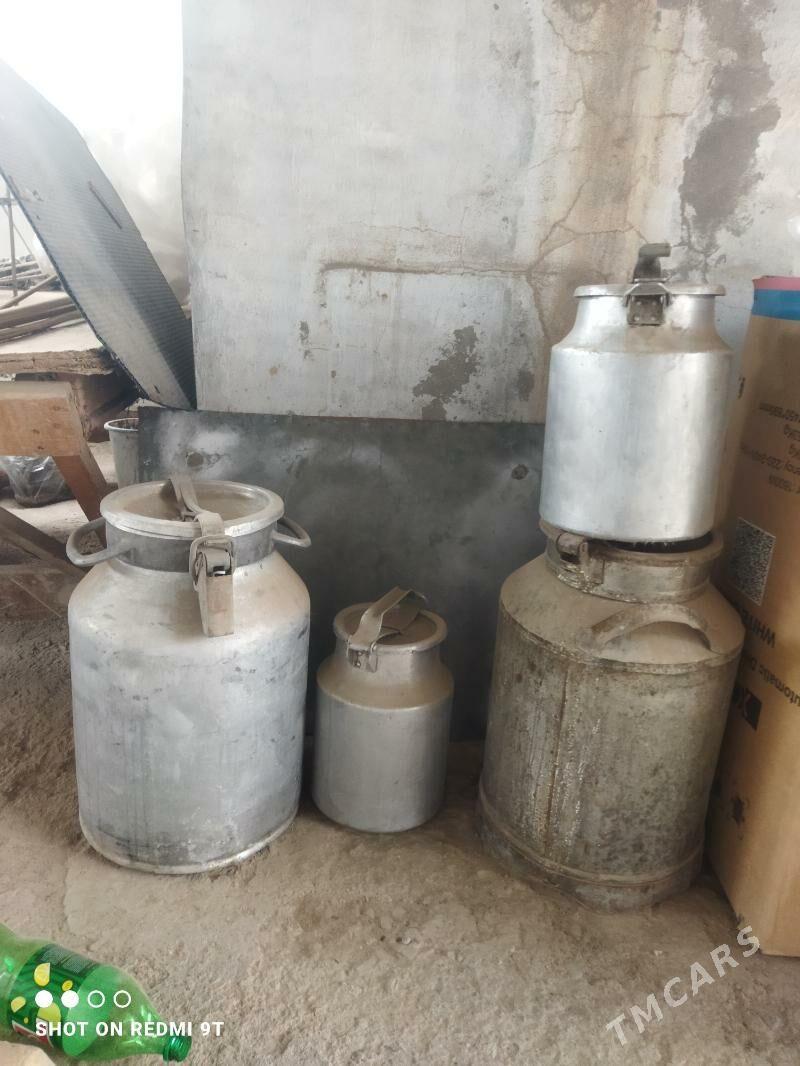 Pilýak - Mary - img 1