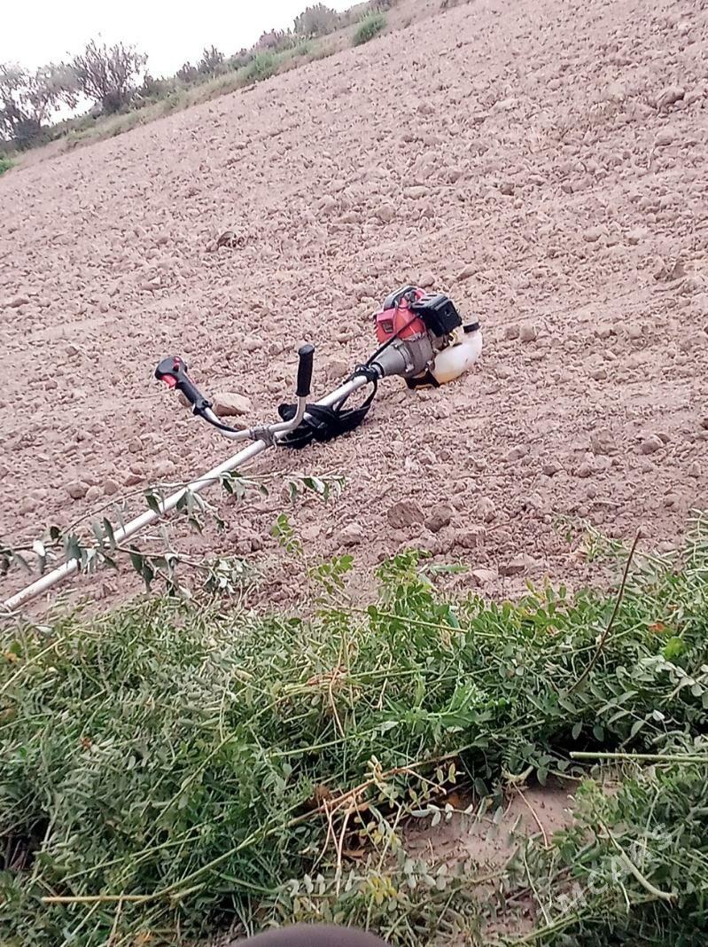 ot orýan - Akdepe - img 1