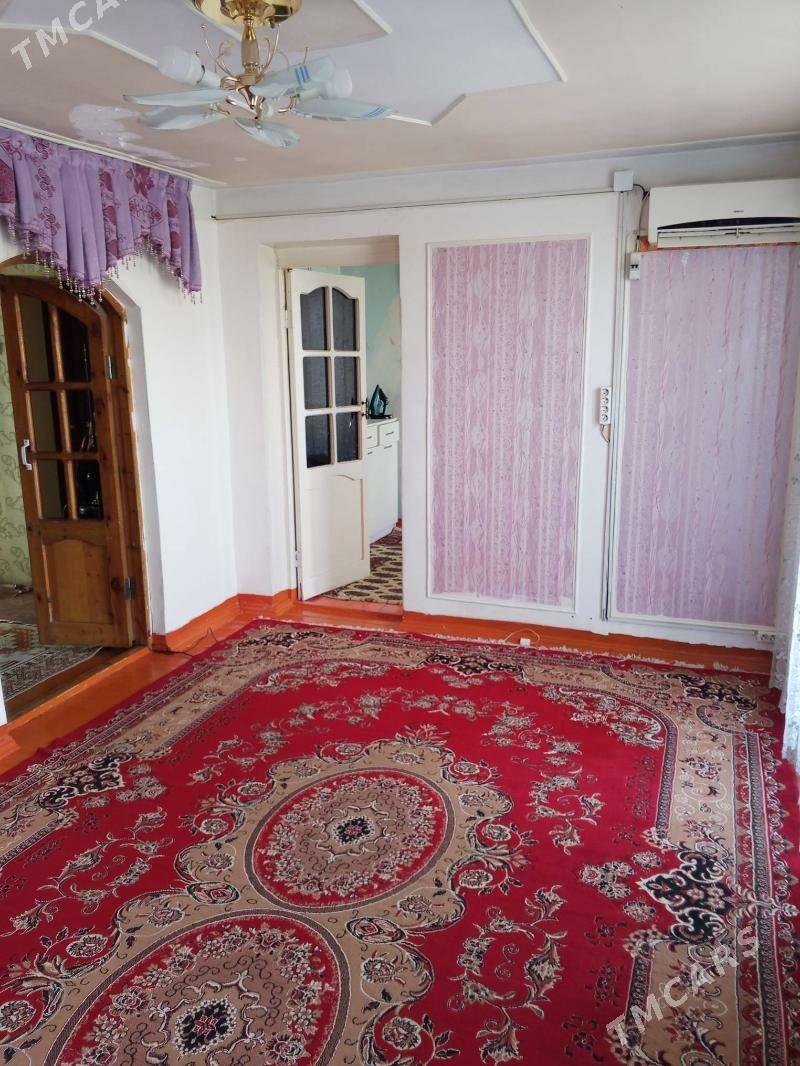 Satlyk jay - Mary - img 1