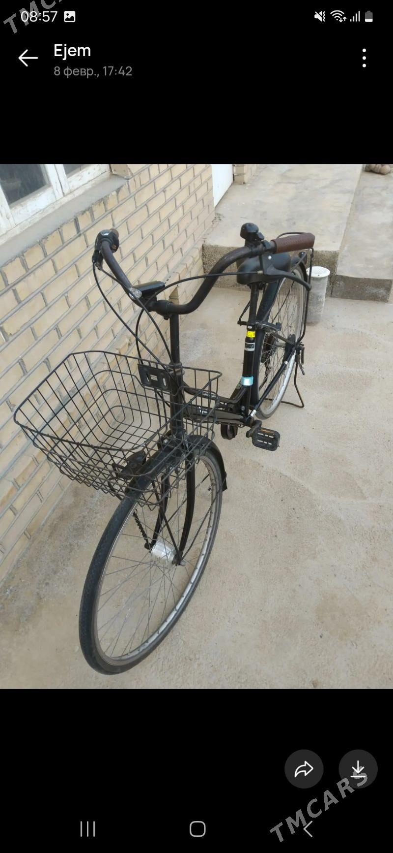 welsepet - Векильбазар - img 1