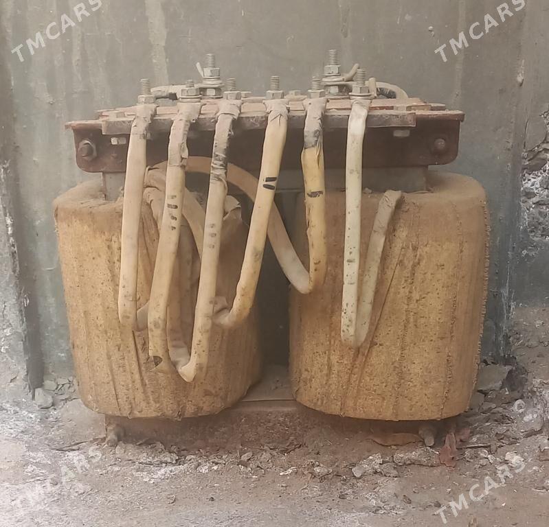 tok köpeldiji - Çoganly - img 1