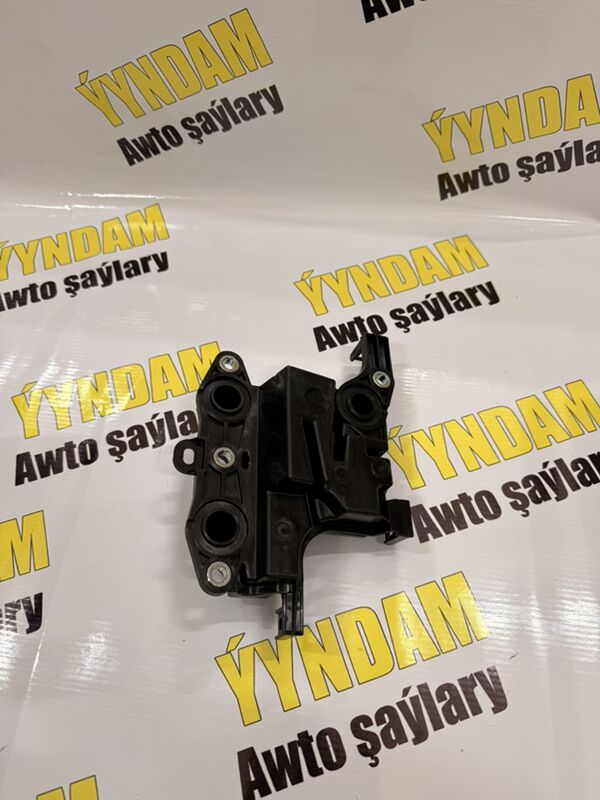 Sapun - Mary - img 1