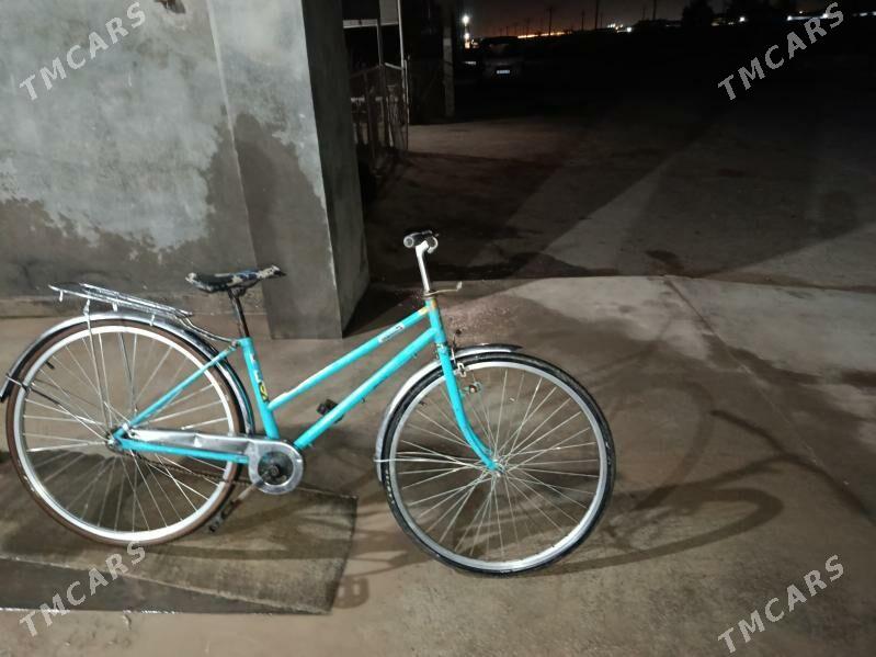 tigir - Murgap - img 1