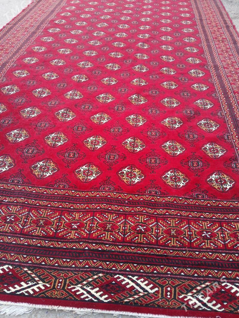 Haly - Aşgabat - img 1