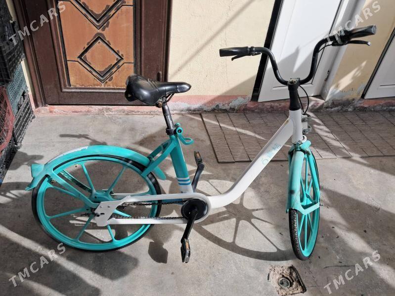 tigir - Hitrowka - img 1