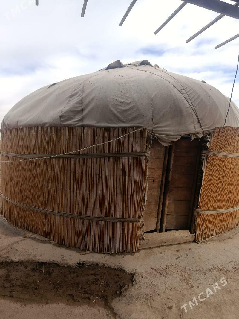 Ak oy agaçdan - Şabat etr. - img 1