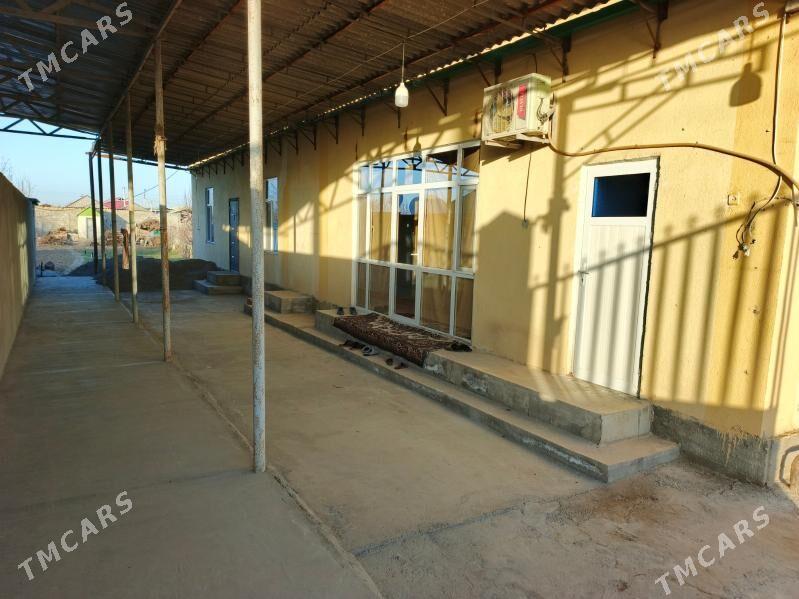 8 sotak yer - Büzmeýin - img 1