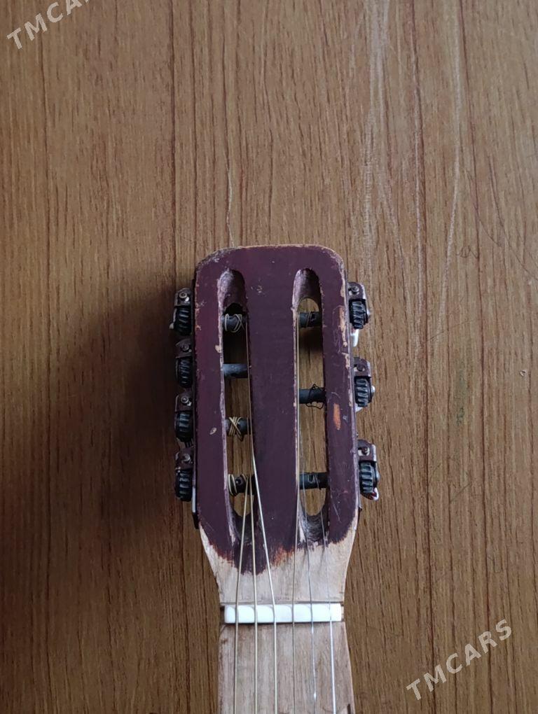 Gitara - Дашогуз - img 1